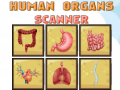 Spiel Human Organs Scanner