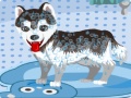 Spiel My Cute Dog Bathing