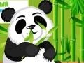 Spiel Panda Care