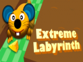Spiel Extreme Labyrinth