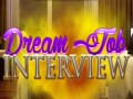 Spiel Dream Job Interview