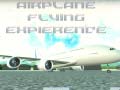 Spiel Airplane Flying Expierence