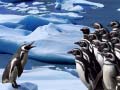 Spiel Penguins Slide
