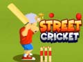 Spiel Street Cricket