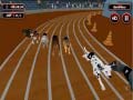 Spiel Crazyl Dog Racing Fever