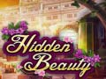 Spiel Hidden Beauty