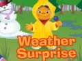 Spiel Weather Surprise
