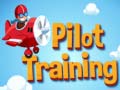 Spiel Pilot Training