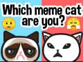 Spiel Which Meme Cat Are You?