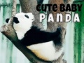Spiel Cute Baby Panda