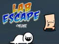 Spiel Lab Escape Online