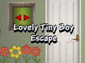 Spiel Lovely Tiny Boy Escape