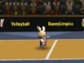 Spiel Bunny volleyball