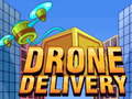 Spiel Drone Delivery