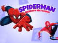 Spiel Spiderman Memory Matching