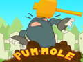 Spiel Pum-Mole