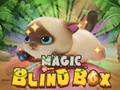 Spiel Magic Blind Box