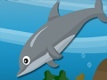 Spiel Dolphin Dive