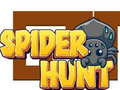 Spiel Spider Hunt