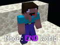 Spiel Noob: End World