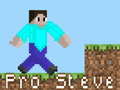 Spiel Pro Steve