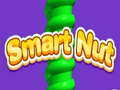 Spiel Smart Nut