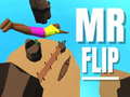 Spiel Mr Flip