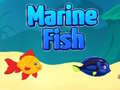 Spiel Marine Fish