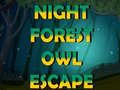 Spiel Night Forest Owl Escape