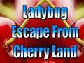 Spiel Ladybug Escape From Cherry Land