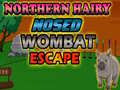 Spiel Northern hairy nosed wombat Escape
