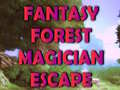 Spiel Fantasy Forest Magician Escape