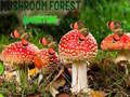 Spiel Mushroom Forest Adventure