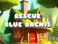 Spiel Rescue Blue Dacnis