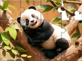 Spiel Jigsaw Puzzle: Panda On Tree