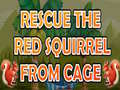 Spiel Rescue The Red Squirrel From Cage