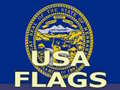 Spiel Usa Flags 