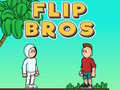 Spiel Flip Bros