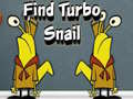 Spiel Find Turbo Snail