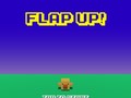 Spiel Flap Up
