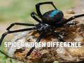 Spiel Spider Hidden Difference