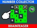 Spiel Number Collector: Brainteaser