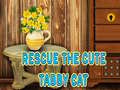 Spiel Rescue The Cute Tabby Cat