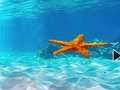 Spiel Escape From Underwater Starfish