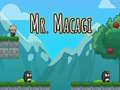 Spiel Mr Macagi