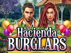Spiel Hacienda Burglars