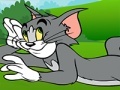 Spiel Tom and Jerry ATV Adventure