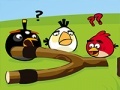 Spiel Angry Birds Go Crazy