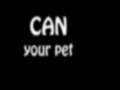 Spiel Can Your Pet