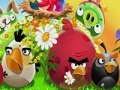 Spiel Angry Birds and The Numbers